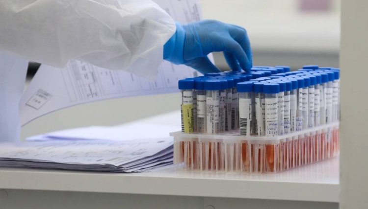 Pela 1ª vez em mais de um ano, Paraná não registra mortes por Covid-19