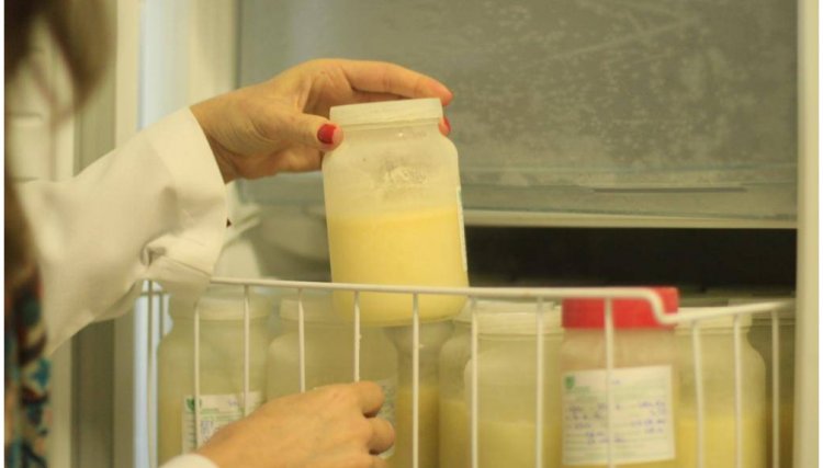 Huop: Banco de Leite coleta em média 250 litros de leite por mês