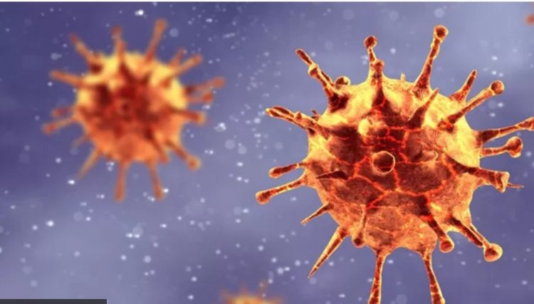 Gripe do vírus influenza avança no Brasil e já atinge dez Estados