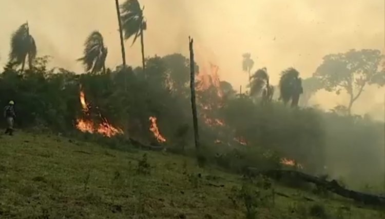 Incêndios descontrolados atingem Quedas do Iguaçu