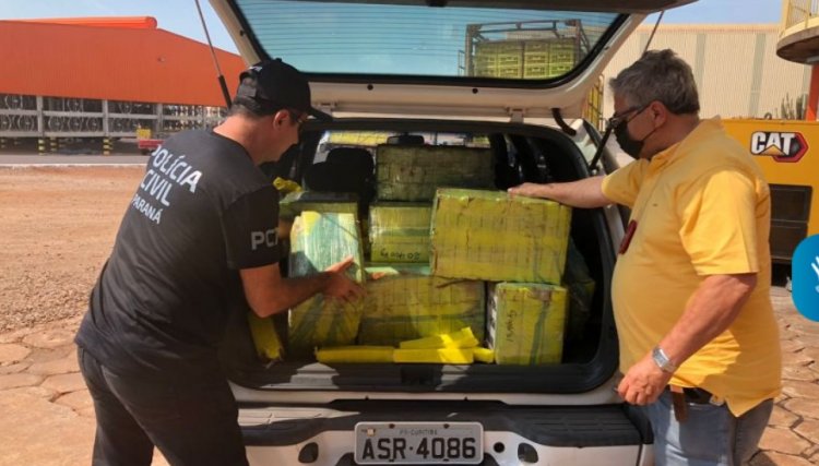 Polícia Civil de Nova Aurora incinera 260 kg de maconha em Cafelândia
<br/>