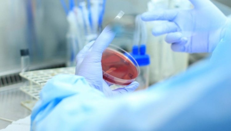 Unidades de Saúde Referência voltaram a atender nesta quarta feira (5)