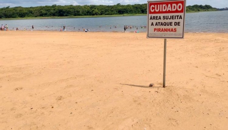 Banhistas são vítimas de ataques de piranhas em praias na Costa Oeste