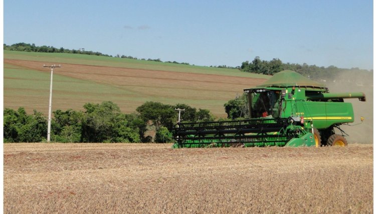 Copel orienta agricultores sobre prevenção de acidentes na colheita e plantio