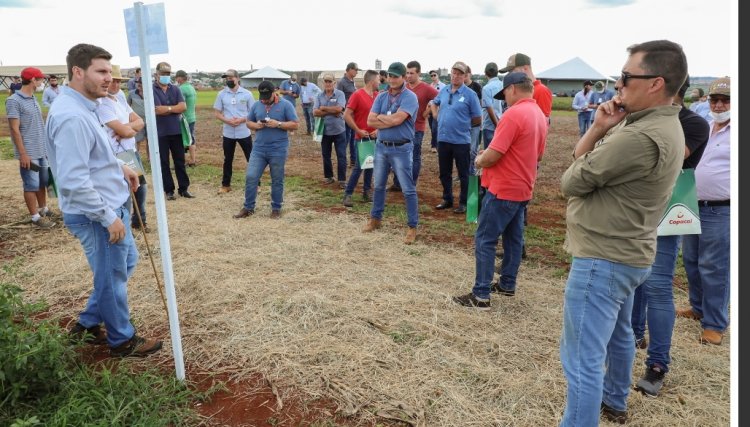 Fertilidade ganha destaque em Dia de Campo da Copacol