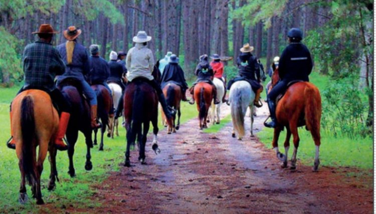 Munícipio de Nova Aurora apoia a Cavalgada do Trabalhador de Marajó