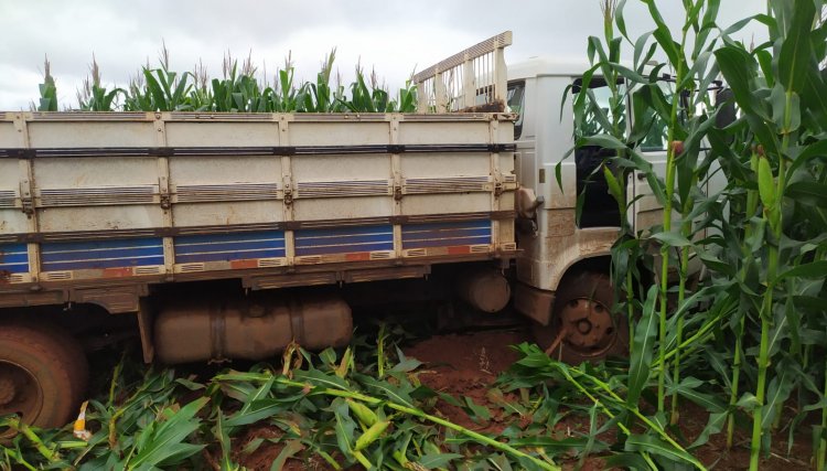 Furto de caminhão carregado com agrotóxicos é recuperado pela PM de Anahy 