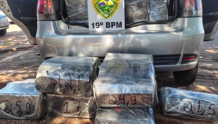Polícia prende motorista com 205 quilos de maconha neste domingo 