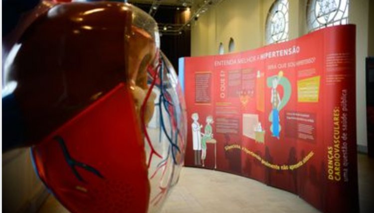 Sociedade de Cardiologia promove campanha no Dia Mundial do Coração