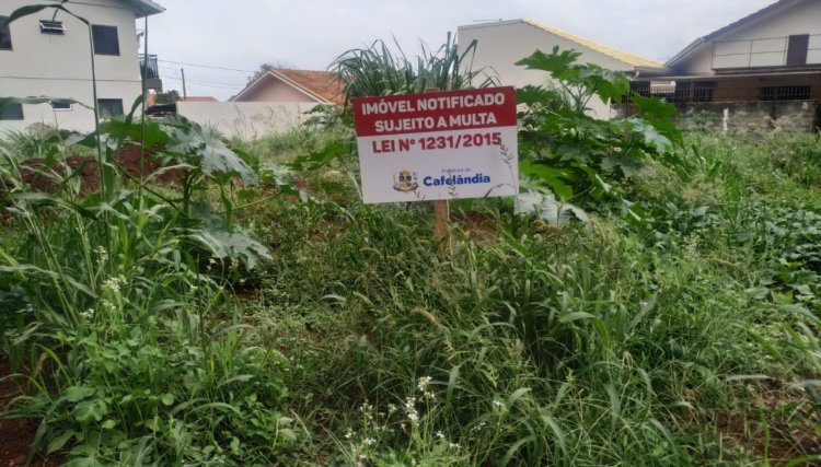 Departamento de Fiscaliza&ccedil;&atilde;o intensifica notifica&ccedil;&otilde;es de terrenos sujos em Cafel&acirc;ndia