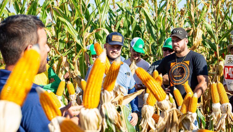 Dias de Campo Copacol têm participação de 1,4 mil cooperados