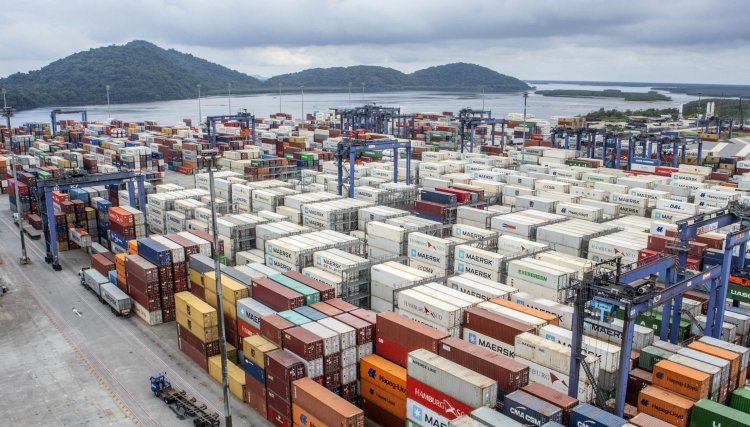 Exportações de carne de frango aumentam 2,1% em agosto, mas o faturamento caiu 9,9% 