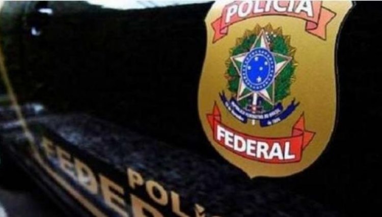 Armas são apreendidas pela operação Gun Express
