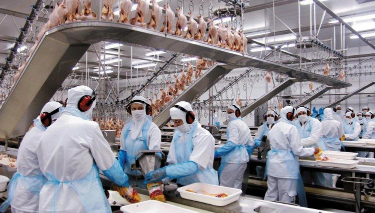 87 frigoríficos firmaram termos de conduta para garantir a segurança dos trabalhadores