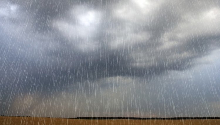 Veja o acumulado de chuva registrado esta semana na região da Copacol