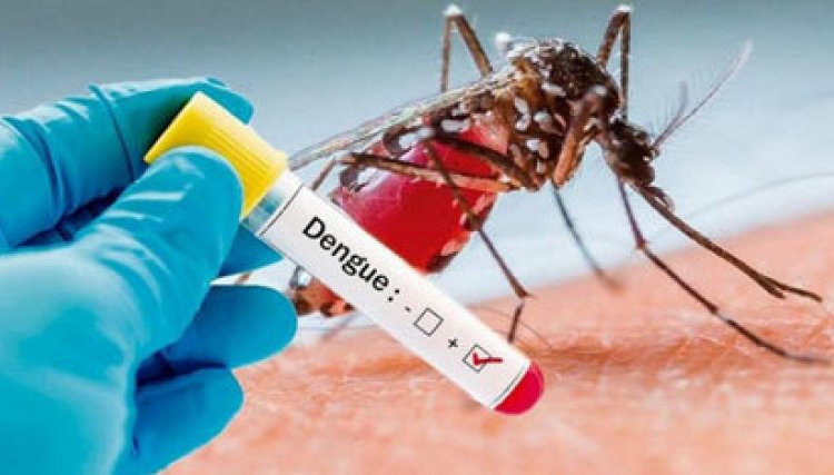 50 novos casos de dengue no PR, incluído Cafelândia
