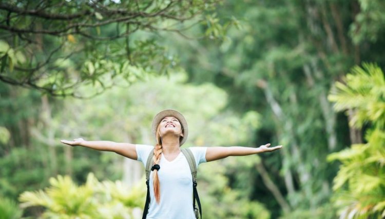 O cérebro precisa da Natureza 