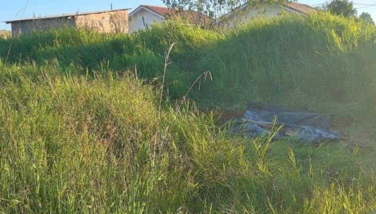 Pai encontra corpo de filha em matagal