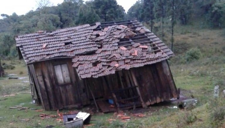 Vendaval destelha casas e arranca árvores no Paraná