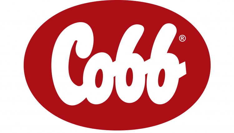 Cobb-Vantress premia empresas com melhores resultados na região Sudeste