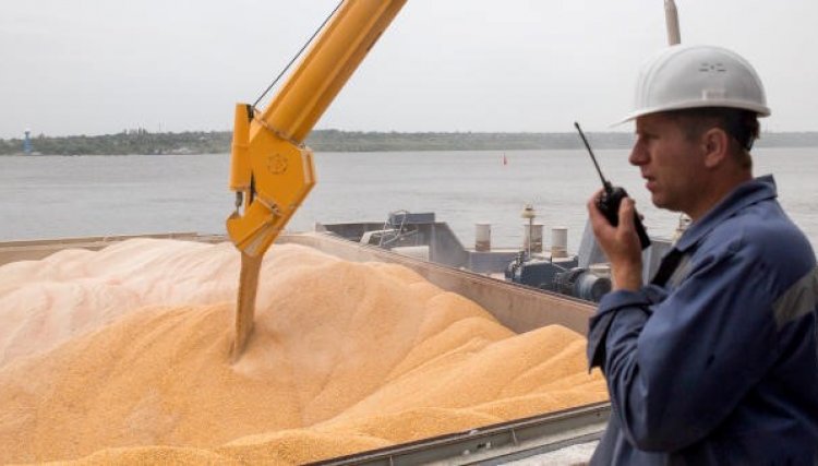 Importações de milho crescem, mas mercado interno segue em alta