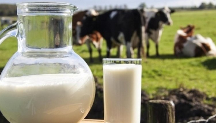 Brasil está entre os cinco maiores produtores de leite do mundo, e o PR é destaque de produção 