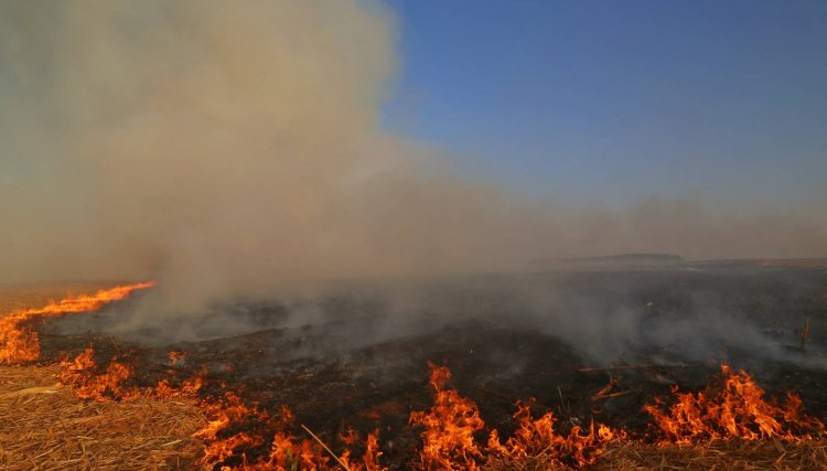 Impacto da seca vai além da falta de água: prejudica agricultura, saúde e agrava riscos de incêndios