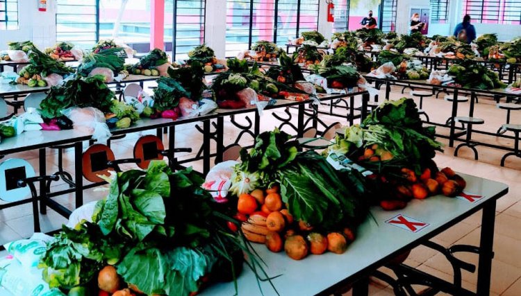 Colégios estaduais farão 5ª entrega de alimentos do ano nesta sexta-feira