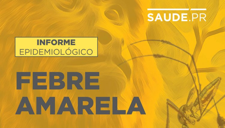 Saúde registra morte de macaco por febre amarela na RMC