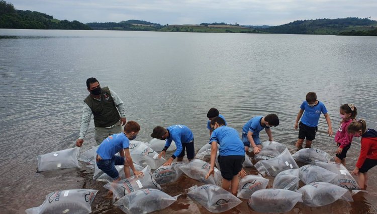 Mais 310 mil peixes nativos são soltos em ação do Estado