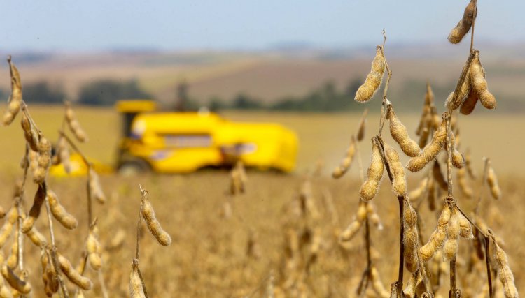 Série vai desbravar o Paraná que alimenta o mundo