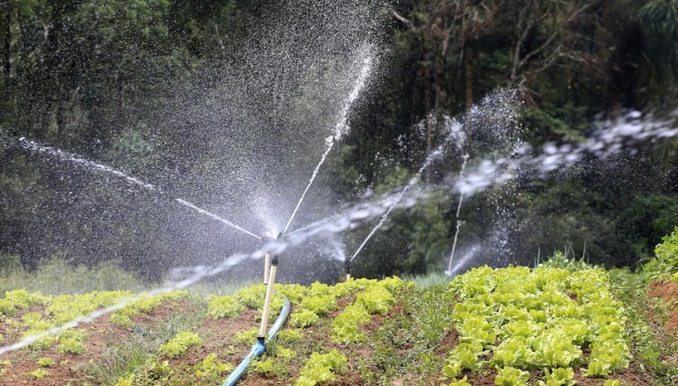 Produção de alimentos também precisa de mais chuva