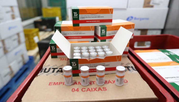 Novo lote da vacina CoronaVac chega ao PR, veja quem vai receber as doses 