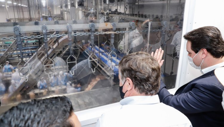 Novo frigorífico de aves na região gera 550 empregos diretos 