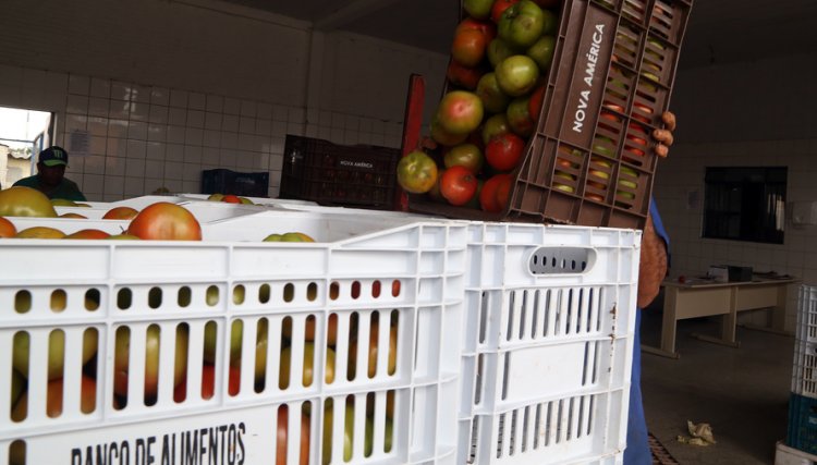 Ceasa distribuiu 970 toneladas de alimentos este ano