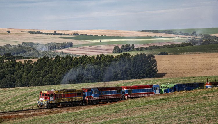 Força da região Oeste: Ferroeste tem crescimento de 13% na movimentação de contêineres no 1º semestre