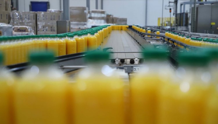Noroeste lidera produção de laranja e do suco da fruta no Paraná