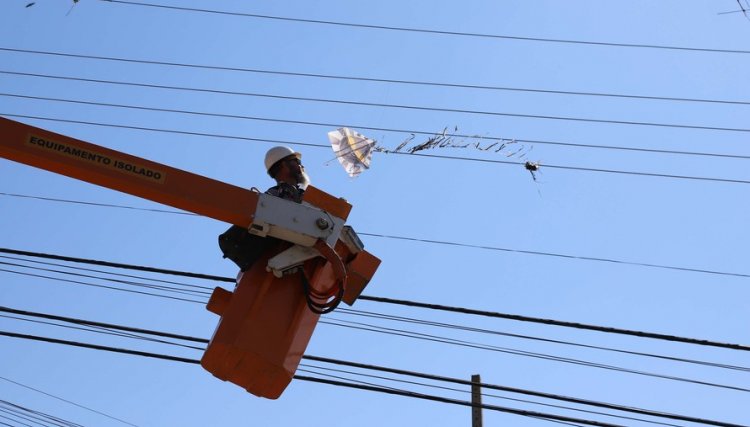 Objetos na rede geram aumento de desligamentos no fornecimento da energia elétrica no PR