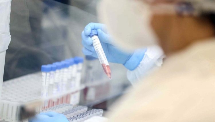 Saúde confirma mais 17 casos de variantes da Covid-19 no PR, veja as cidades 