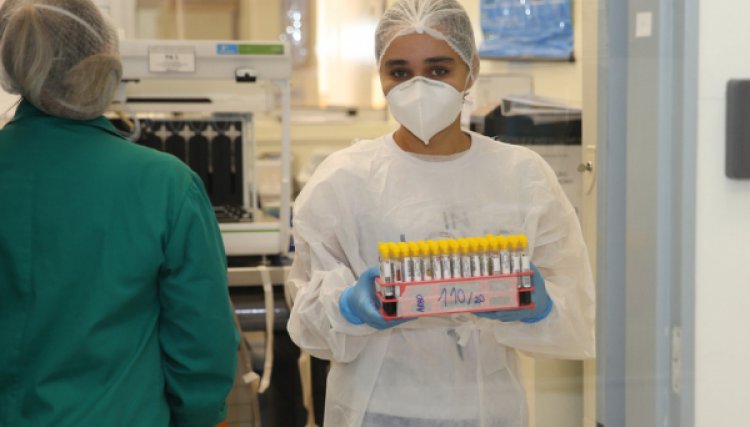 Paraná está fora de zona de alerta para Covid, diz boletim da Fiocruz