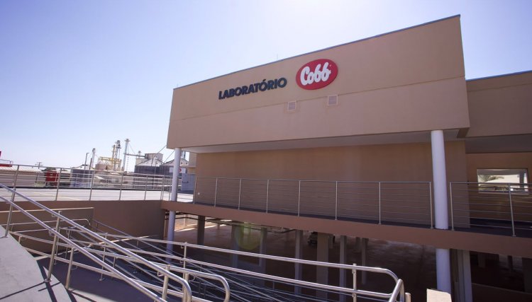 Cobb-Vantress inaugura novo Laborat&oacute;rio de Controle de Qualidade e amplia em 50% a capacidade de an&aacute;lises