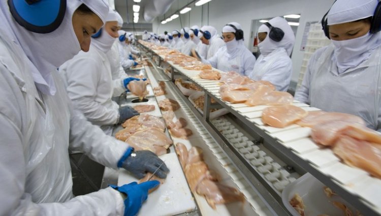 
<br/>Exportações de carne de frango crescem 1,8% em 2020 no Brasil 