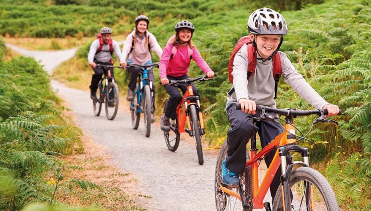  Vereadores aprovam a semana oficial do Ciclismo em Cafelândia 