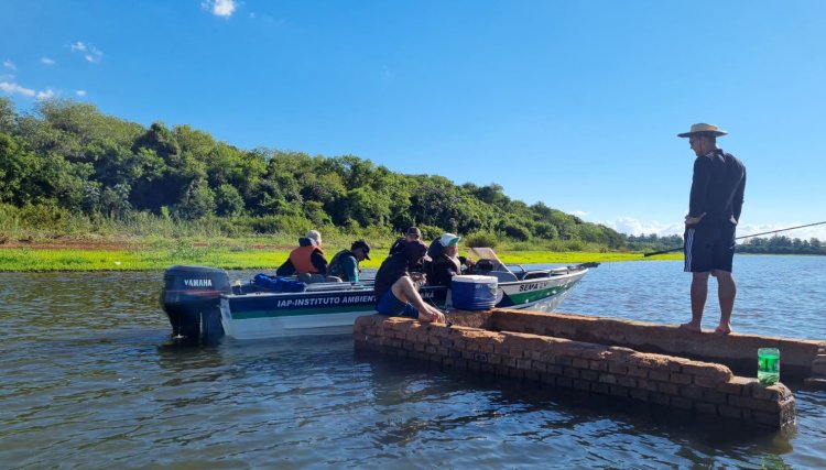Desmatamento e pesca ilegal no Oeste geram multas R$ 320 mil