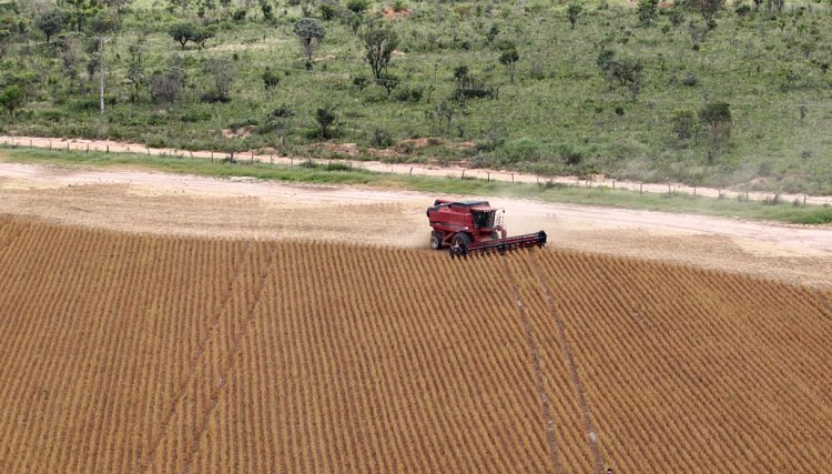 Produtores do Canadá querem ação contra ataques ao glifosato