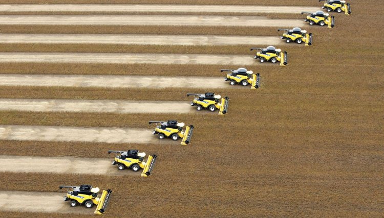 Safra deste ano deve ser 3,8% superior à de 2019, prevê IBGE