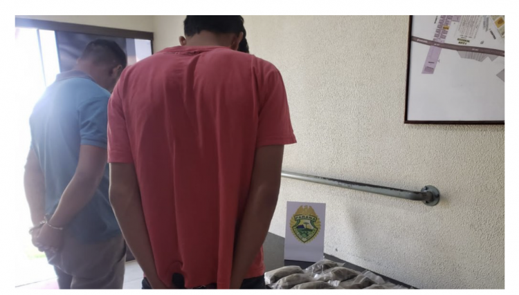 Polícia Militar faz apreensão de drogas na BR369