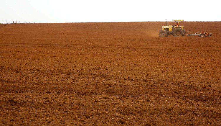 Paraná tem a melhor classificação do Brasil em potencialidade agrícola, segundo estudo do IBGE