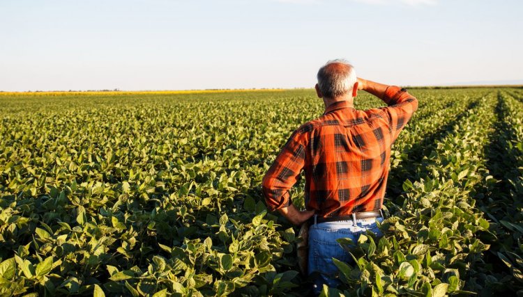 Produtor rural poderá regularizar cadastro ambiental pela internet