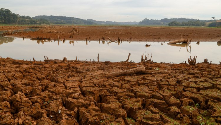 Estiagem pode comprometer safra de inverno no PR